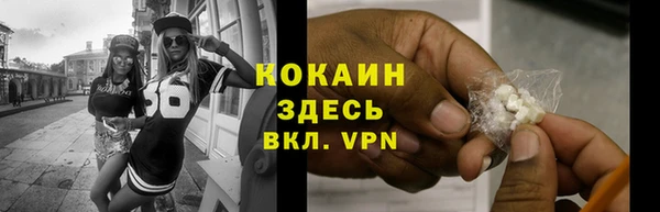 ешки Гусь-Хрустальный