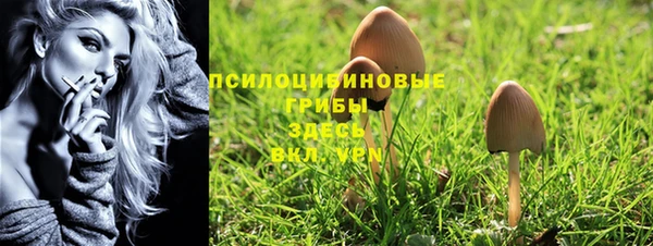 марки nbome Гусиноозёрск