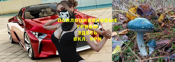 ешки Гусь-Хрустальный