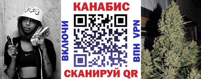 Купить закладки  Кувшиново  Каннабис VHQ 